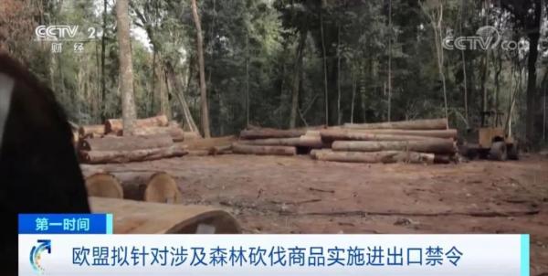 欧盟拟禁止进出口这些产品，外贸企业注意！