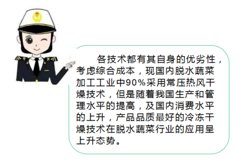 脱水蔬菜出口需要什么资质？（附详细办理流程）